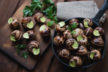 Escargot de Bourgogne